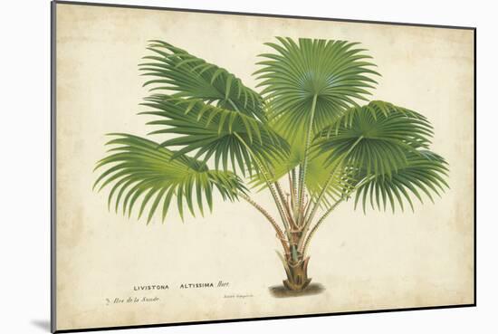 Palm of the Tropics V-Horto Van Houtteano-Mounted Art Print