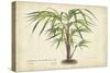 Palm of the Tropics VI-Horto Van Houtteano-Stretched Canvas