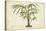 Palm of the Tropics VI-Horto Van Houtteano-Stretched Canvas