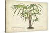 Palm of the Tropics VI-Horto Van Houtteano-Stretched Canvas