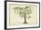 Palm of the Tropics VI-Horto Van Houtteano-Framed Art Print