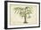 Palm of the Tropics VI-Horto Van Houtteano-Framed Art Print