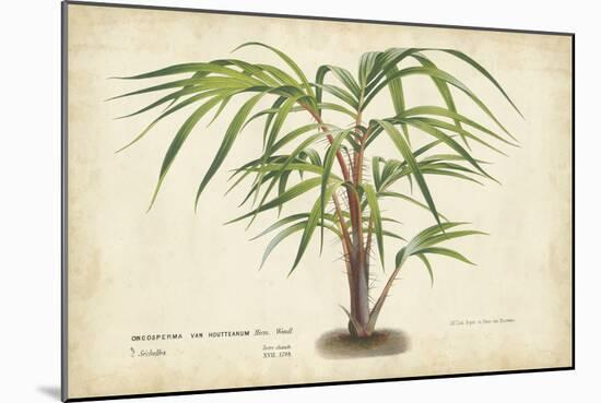 Palm of the Tropics VI-Horto Van Houtteano-Mounted Art Print