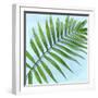 Palm on Blue II-Mia Jensen-Framed Art Print