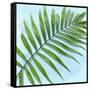 Palm on Blue II-Mia Jensen-Framed Stretched Canvas