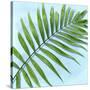 Palm on Blue II-Mia Jensen-Stretched Canvas