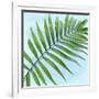 Palm on Blue II-Mia Jensen-Framed Art Print