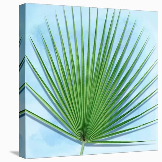 Palm on Blue III-Mia Jensen-Stretched Canvas