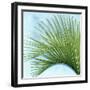 Palm on Blue IV-Mia Jensen-Framed Art Print