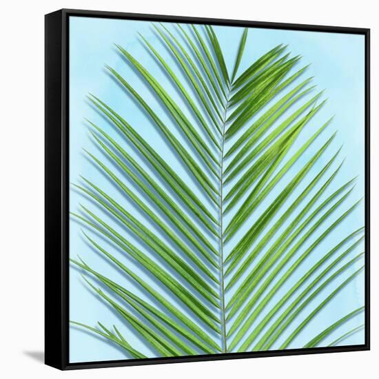 Palm on Blue V-Mia Jensen-Framed Stretched Canvas