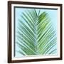 Palm on Blue V-Mia Jensen-Framed Art Print