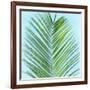 Palm on Blue V-Mia Jensen-Framed Art Print