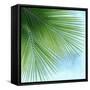 Palm on Blue VI-Mia Jensen-Framed Stretched Canvas