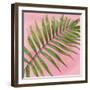 Palm on Pink II-Mia Jensen-Framed Art Print