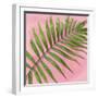 Palm on Pink II-Mia Jensen-Framed Art Print