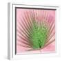 Palm on Pink III-Mia Jensen-Framed Art Print