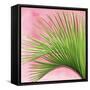 Palm on Pink IV-Mia Jensen-Framed Stretched Canvas