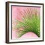 Palm on Pink IV-Mia Jensen-Framed Art Print