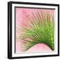 Palm on Pink IV-Mia Jensen-Framed Art Print