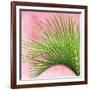 Palm on Pink IV-Mia Jensen-Framed Art Print