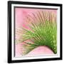 Palm on Pink IV-Mia Jensen-Framed Art Print