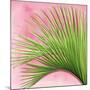 Palm on Pink IV-Mia Jensen-Mounted Art Print