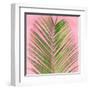 Palm on Pink V-Mia Jensen-Framed Art Print