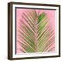 Palm on Pink V-Mia Jensen-Framed Art Print