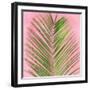 Palm on Pink V-Mia Jensen-Framed Art Print