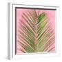 Palm on Pink V-Mia Jensen-Framed Art Print