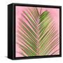 Palm on Pink V-Mia Jensen-Framed Stretched Canvas