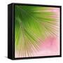 Palm on Pink VI-Mia Jensen-Framed Stretched Canvas