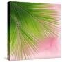 Palm on Pink VI-Mia Jensen-Stretched Canvas