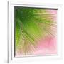 Palm on Pink VI-Mia Jensen-Framed Art Print