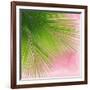 Palm on Pink VI-Mia Jensen-Framed Art Print