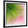 Palm on Pink VI-Mia Jensen-Framed Art Print