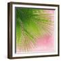 Palm on Pink VI-Mia Jensen-Framed Art Print