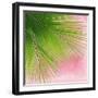 Palm on Pink VI-Mia Jensen-Framed Art Print