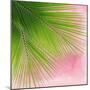 Palm on Pink VI-Mia Jensen-Mounted Art Print