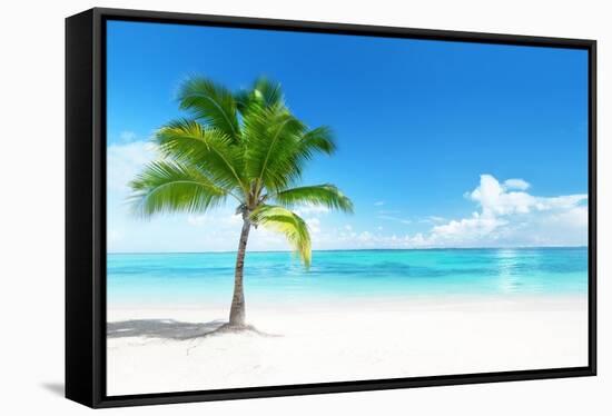 Palm on the Beach, Dominican Republic-Iakov Kalinin-Framed Stretched Canvas