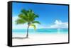 Palm on the Beach, Dominican Republic-Iakov Kalinin-Framed Stretched Canvas