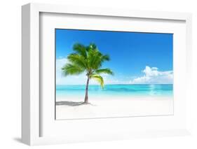 Palm on the Beach, Dominican Republic-Iakov Kalinin-Framed Photographic Print