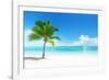 Palm on the Beach, Dominican Republic-Iakov Kalinin-Framed Photographic Print