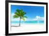 Palm on the Beach, Dominican Republic-Iakov Kalinin-Framed Photographic Print