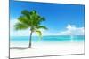 Palm on the Beach, Dominican Republic-Iakov Kalinin-Mounted Photographic Print