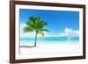 Palm on the Beach, Dominican Republic-Iakov Kalinin-Framed Photographic Print