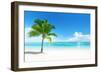 Palm on the Beach, Dominican Republic-Iakov Kalinin-Framed Photographic Print