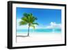 Palm on the Beach, Dominican Republic-Iakov Kalinin-Framed Photographic Print