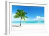 Palm on the Beach, Dominican Republic-Iakov Kalinin-Framed Photographic Print