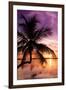 Palm Paradise at Sunset - Florida - USA-Philippe Hugonnard-Framed Photographic Print